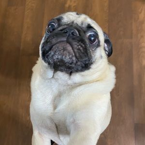 Meet your Posher, Elle